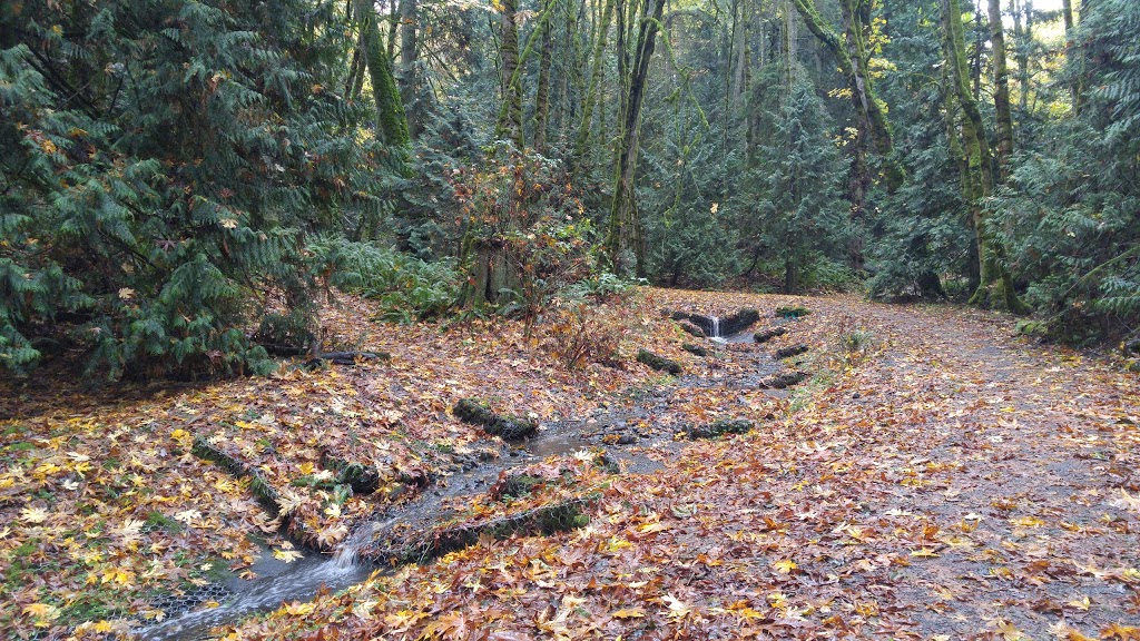 Doumac Park | Doumac Ave, Victoria, BC V8Y 2C4, Canada