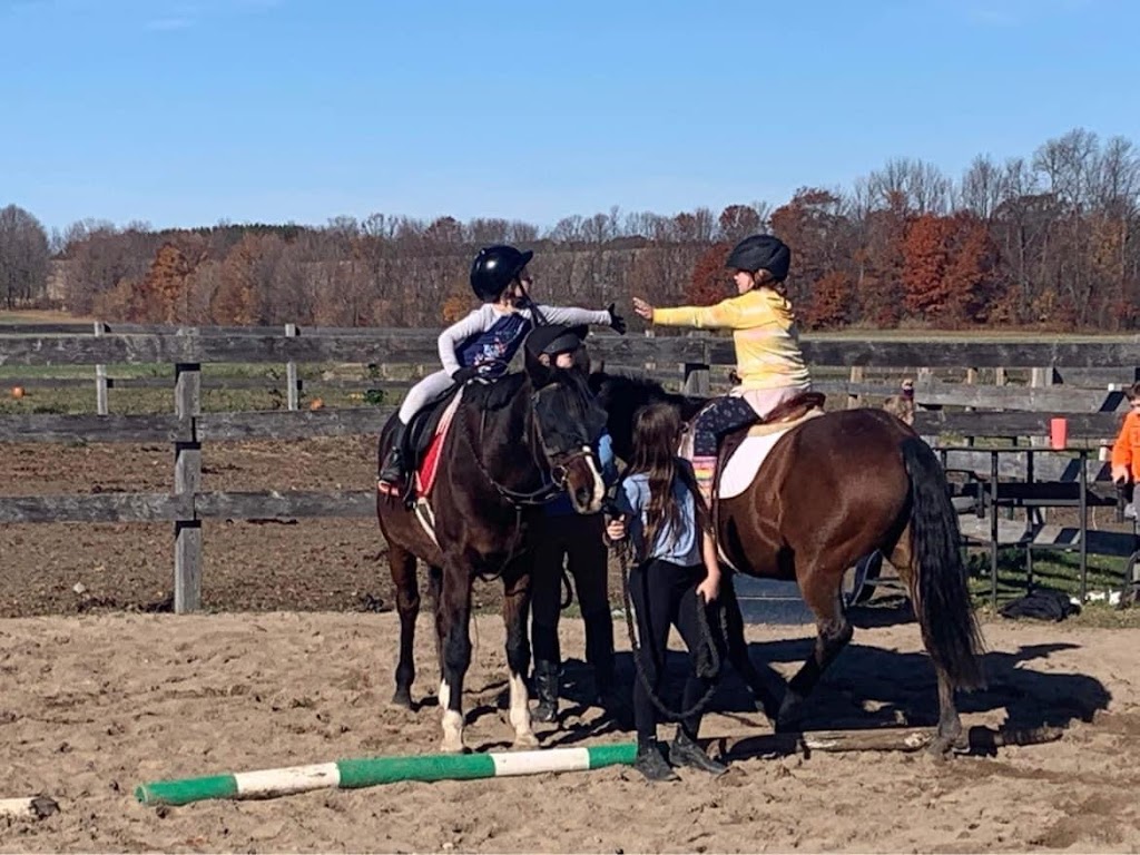 BelleVue Stables | 40 Concession Rd 15 E, Township Of Tiny, ON L9M 0N6, Canada | Phone: (705) 427-4087
