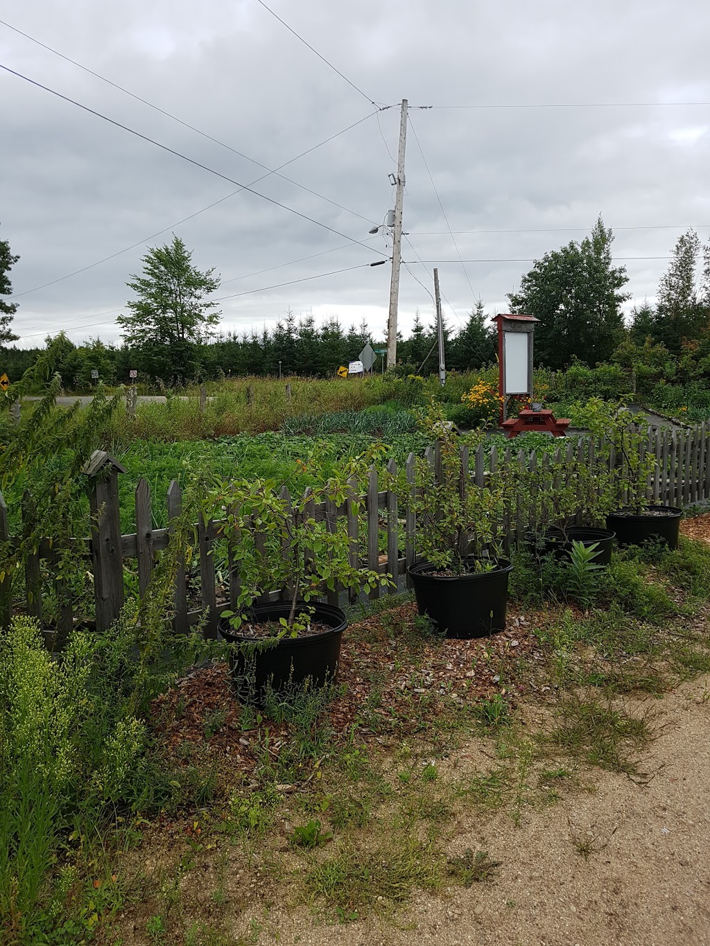 Les Fruits de la Terre | 51 Montée Meunier, Ripon, QC J0V 1V0, Canada | Phone: (819) 743-1541
