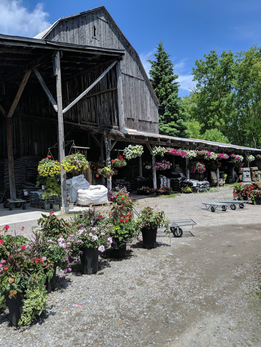 Farmgate Gardens | 525 Frankford Rd, Foxboro, ON K0K 2B0, Canada | Phone: (613) 967-1581