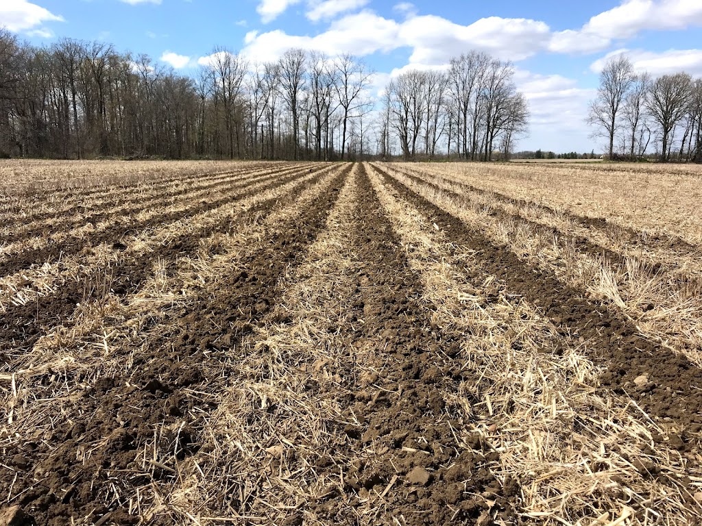 McBlain Farms Ltd. | 1302 Brant County Hwy 54, Caledonia, ON N3W 2G9, Canada | Phone: (905) 765-2236