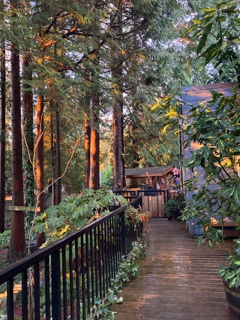 Amberspirithealing.com | 2590 Austin Ave, Coquitlam, BC V3K 5X4, Canada | Phone: (604) 802-7982