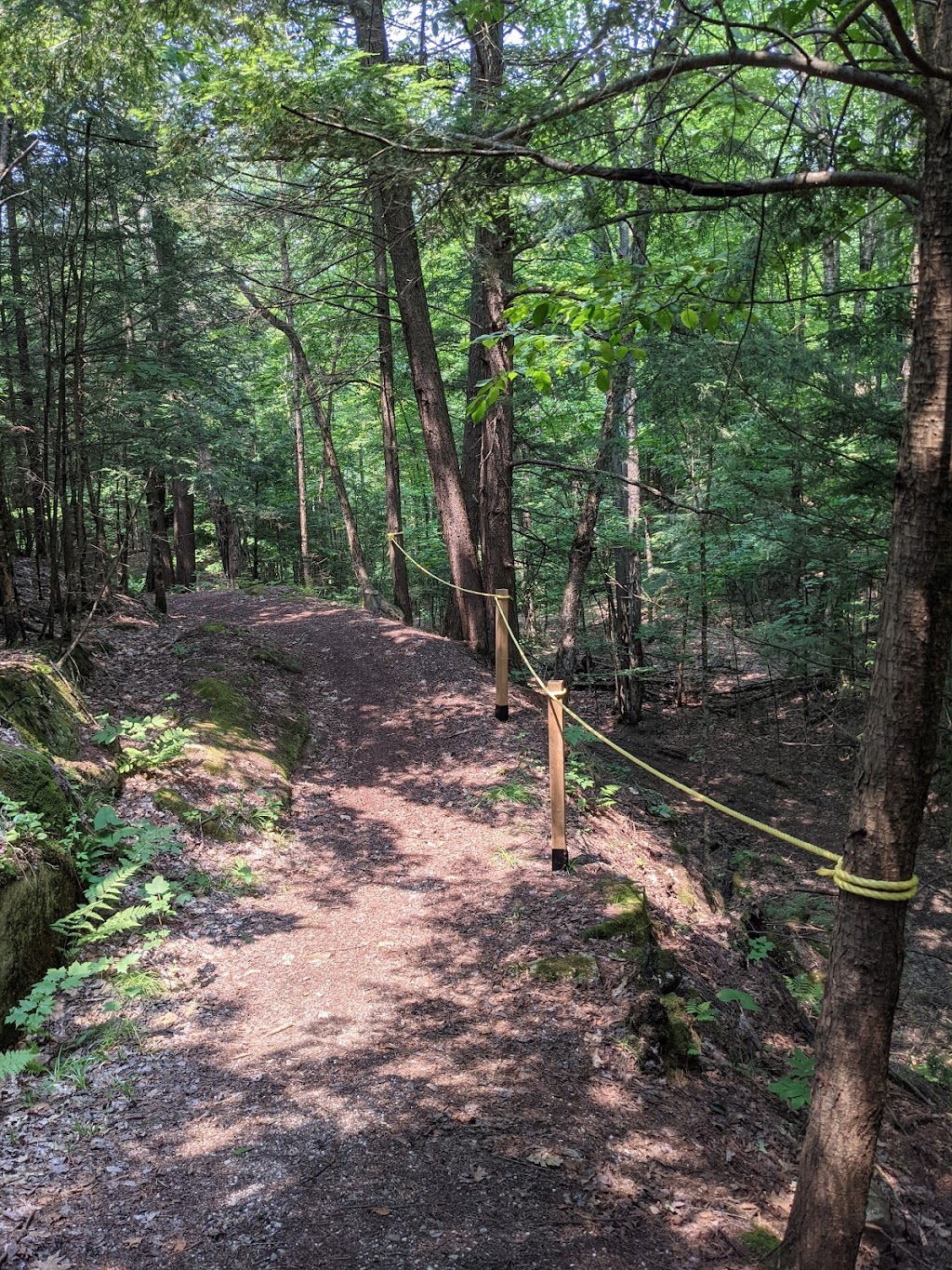 Sentiers de la Montagne Roy : Allons aux bois | 116 Rue Papineau, Chénéville, QC J0V 1E0, Canada | Phone: (819) 428-3583