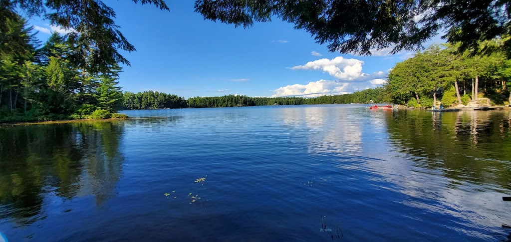 Muskoka Waterbikes | 1117 Stone Gate Ln, Bracebridge, ON P1L 1X1, Canada | Phone: (888) 973-6892