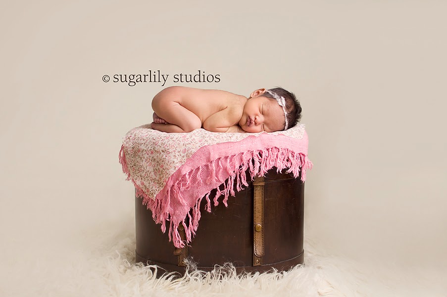 Sugarlily Studios | 10973 Barnston View Rd #104, Pitt Meadows, BC V3Y 0B8, Canada | Phone: (604) 463-6545
