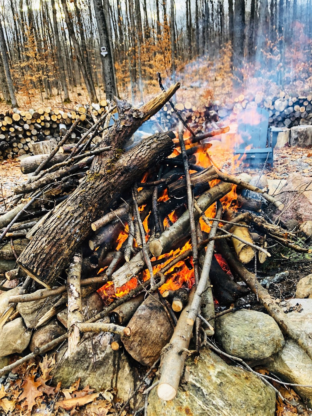 Alive Wilderness Retreat | 3384 Beechwood Dr, Coldwater, ON L0K 1E0, Canada | Phone: (905) 715-5692