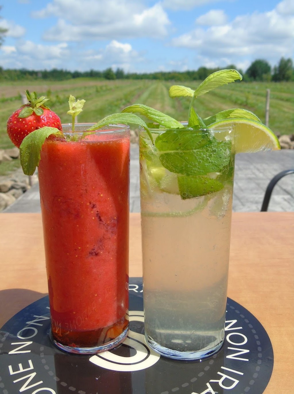 Domaine Small | 2603 Rue St Pierre, Sainte-Agathe-de-Lotbinière, QC G7A 1V7, Canada | Phone: (418) 254-7804
