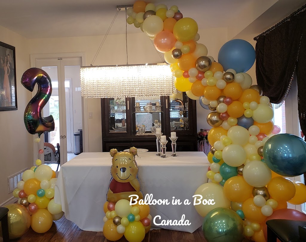Balloon in a Box Canada | Owen St, Ingersoll, ON N5C 4G7, Canada | Phone: (519) 476-5135
