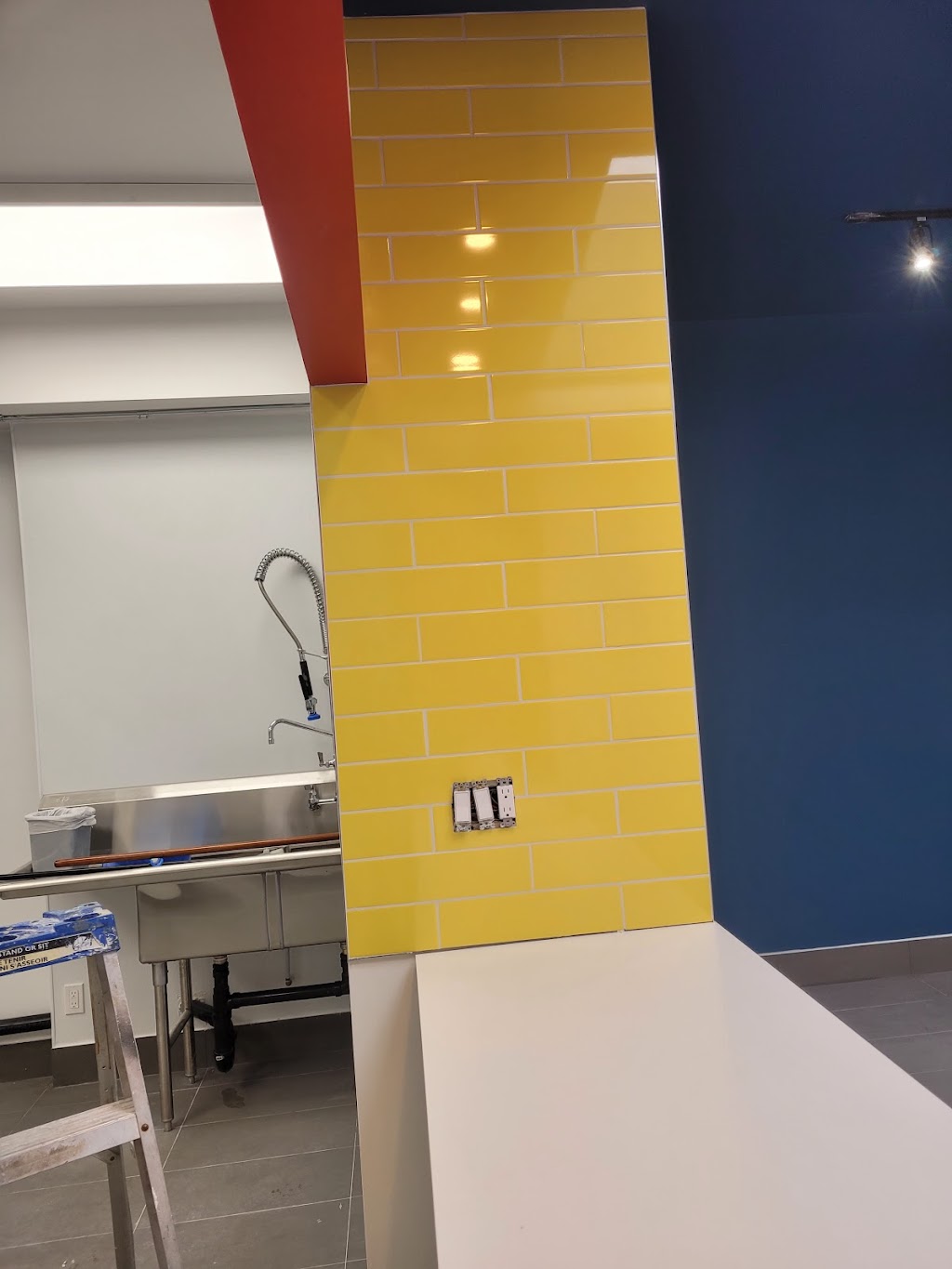 legit painting & tiling ltd | 12848 Old Yale Rd, Surrey, BC V3T 3B5, Canada | Phone: (778) 232-8940