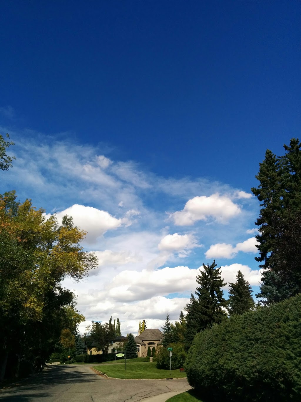 Talon Park | 2908 Carleton St SW, Calgary, AB T2T 3L1, Canada