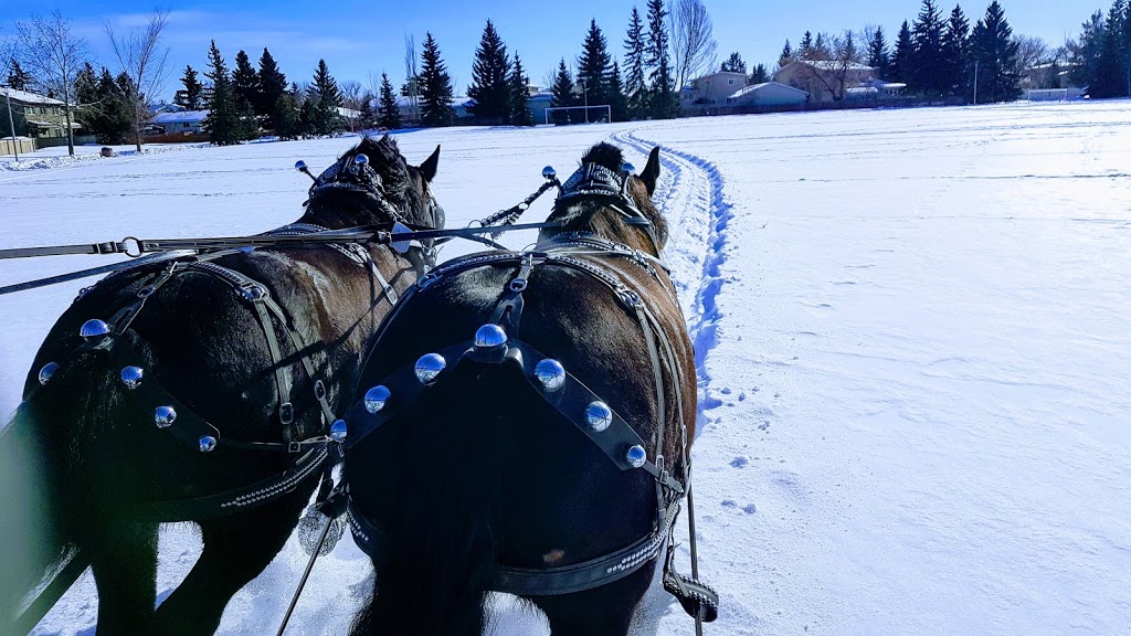 Dick Laurin’s Hay and Sleigh Rides | 530048 Range Rd 183, Edmonton, AB T6P 1V3, Canada | Phone: (780) 464-0234