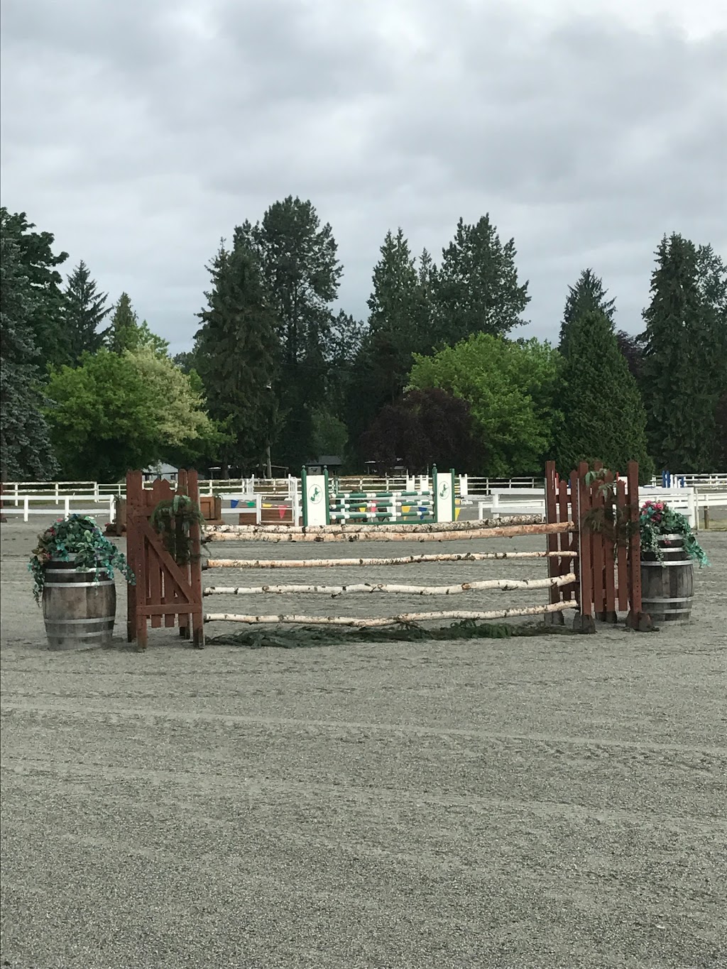Maple Ridge Equi Sports Center | 21973 132 Ave, Maple Ridge, BC V4R 0A7, Canada | Phone: (604) 467-5616