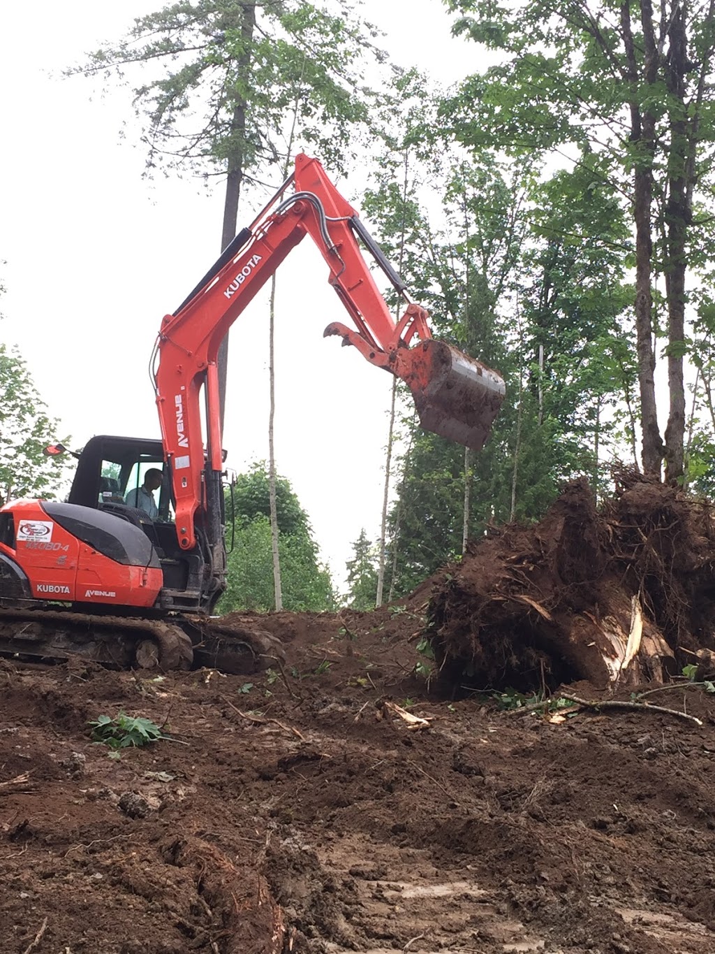 The Golden Shovel Landscape Ltd. | 27464 110 Ave, Maple Ridge, BC V2W 1P5, Canada | Phone: (778) 863-5258