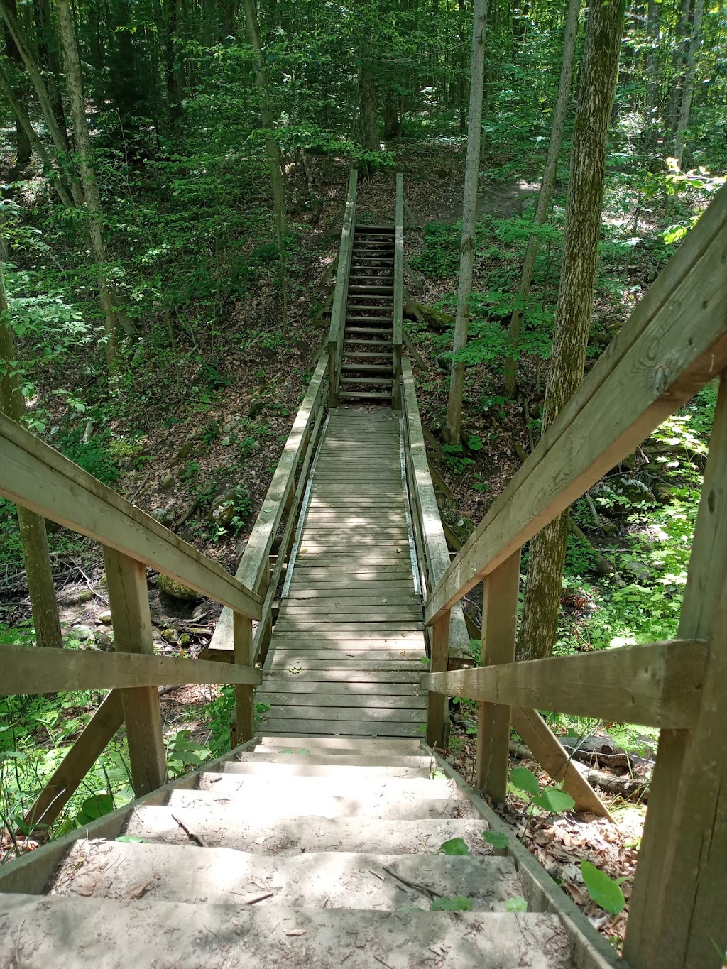 Proctor Park Conservation Area | 96 Young St, Brighton, ON K0K 1H0, Canada | Phone: (613) 394-4829