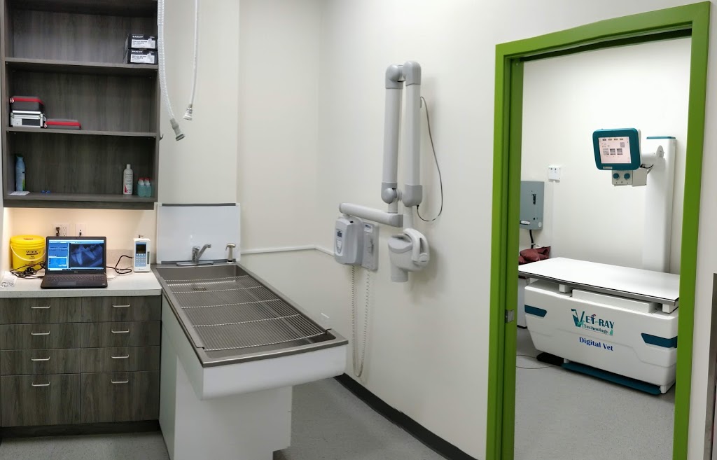 Legacy Veterinary Clinic | 1625 210 Ave SE #106, Calgary, AB T2X 4K8, Canada | Phone: (587) 625-0748