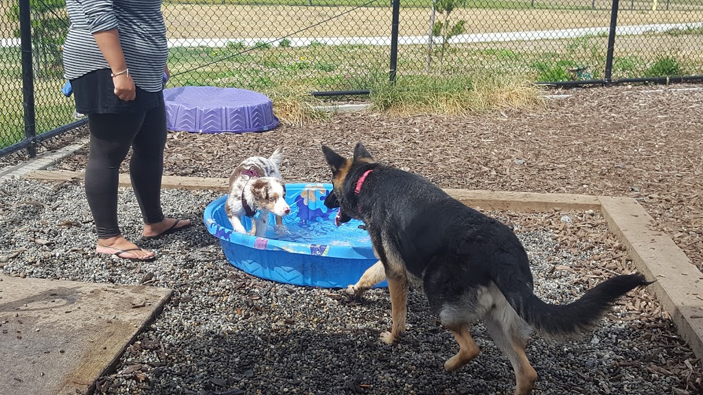 Squalicum Dog Park | 1001 Squalicum Way, Bellingham, WA 98225, USA