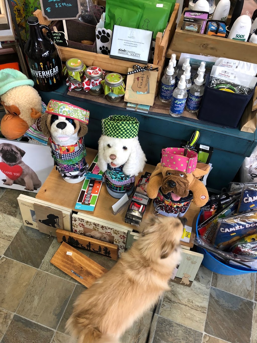 The Mutt Hutt Spaw & Pet Centre Inc | 541 Days Road, Kingston, ON K7M 3R8, Canada | Phone: (613) 507-6888