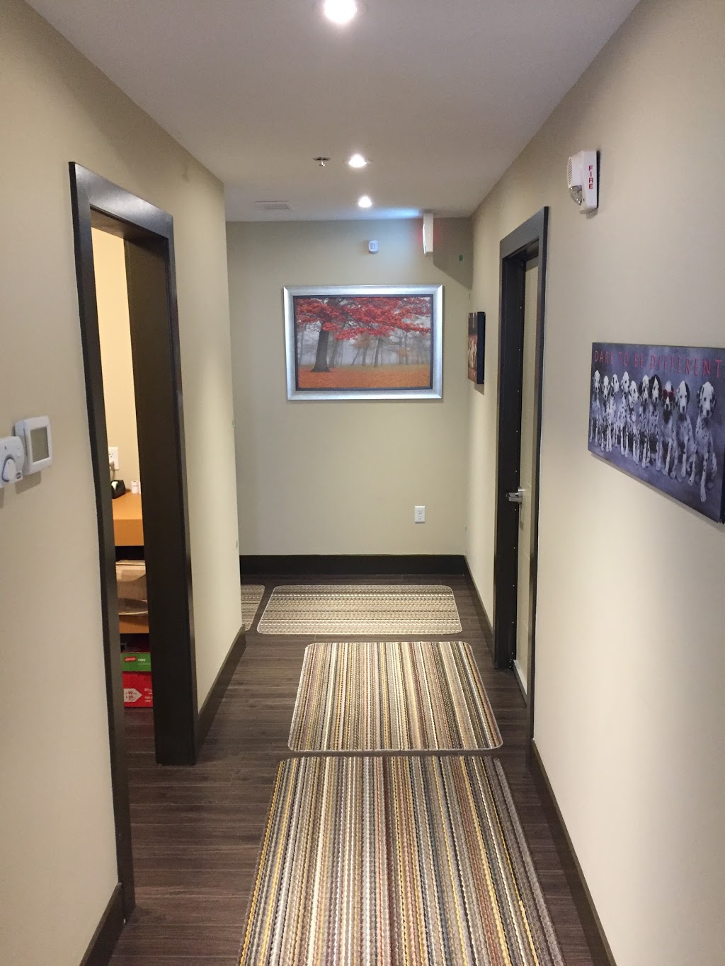 Acuity Counselling and Therapy Services | 3400 Dutch Village Rd #101, Halifax, NS B3N 0E7, Canada | Phone: (902) 406-3400