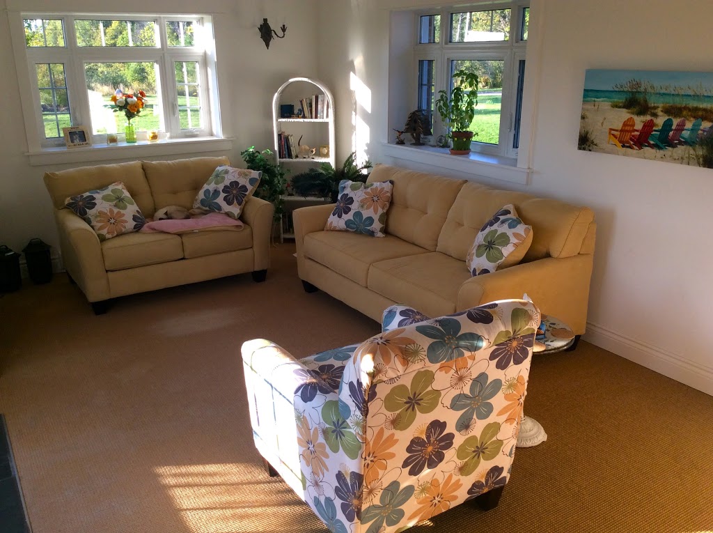 Imagineering Counselling Services | 1388 Ziska Rd, Bracebridge, ON P1L 1W8, Canada | Phone: (705) 706-1533