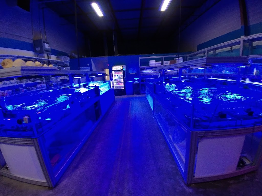 Canada Corals Inc. | 931 Brunette Ave, Coquitlam, BC V3K 6T5, Canada | Phone: (236) 313-3474