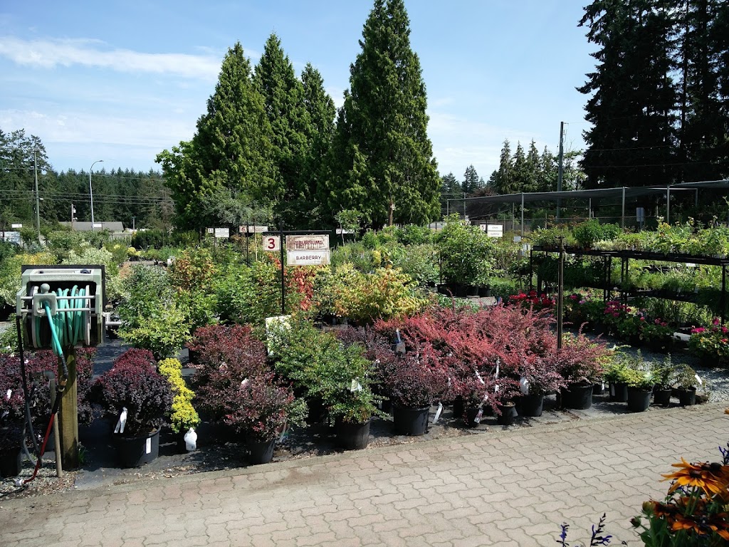 B Dinter Nursery Ltd | 2205 Phipps Rd, Duncan, BC V9L 6L2, Canada | Phone: (250) 748-2023
