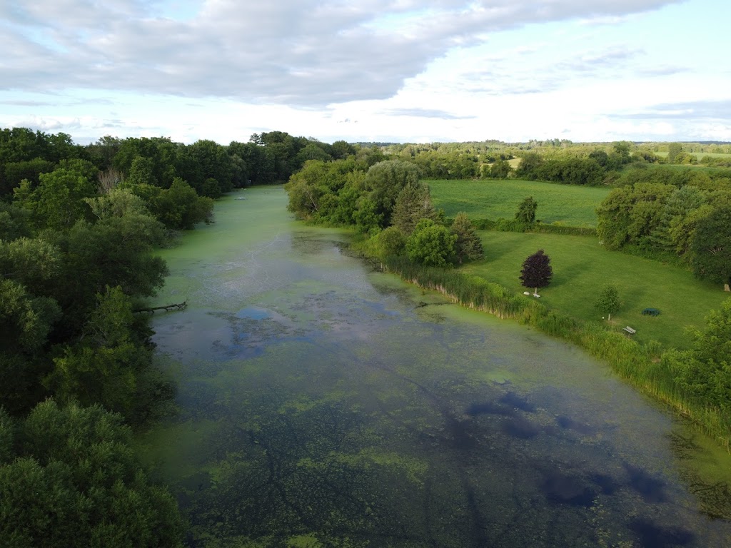 Mill Pond Park | 17 Brick St, Bloomfield, ON K0K 1G0, Canada | Phone: (613) 476-2148