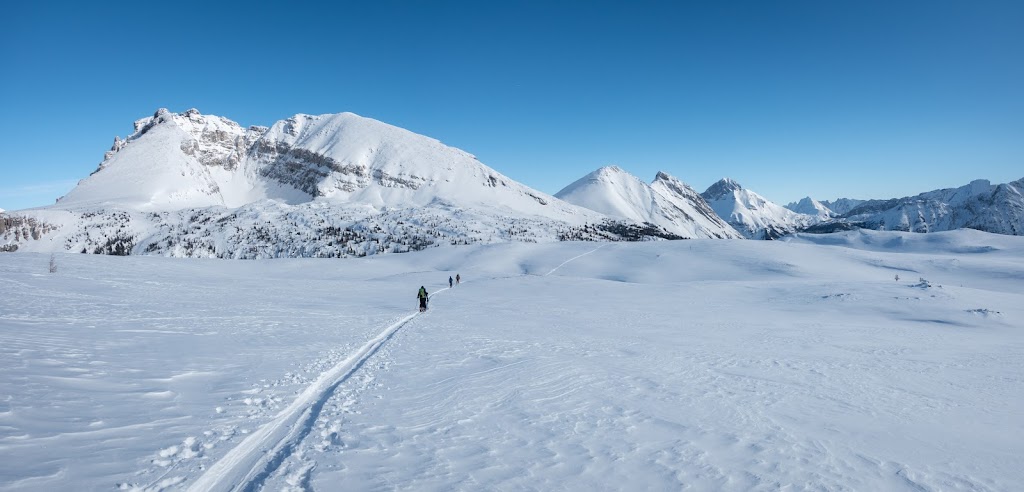 Talus Backcountry Lodge | East Kootenay F, BC V0B 2G3, Canada | Phone: (403) 609-0482