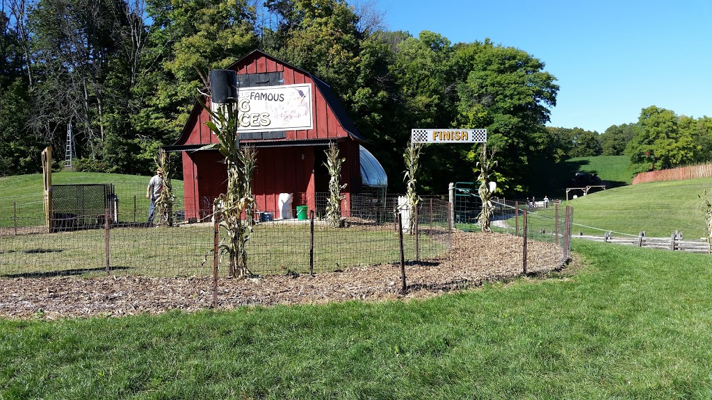 Howell Family Pumpkin Farm | 2878 Holland Rd, Fonthill, ON L0S 1E6, Canada | Phone: (905) 892-3918