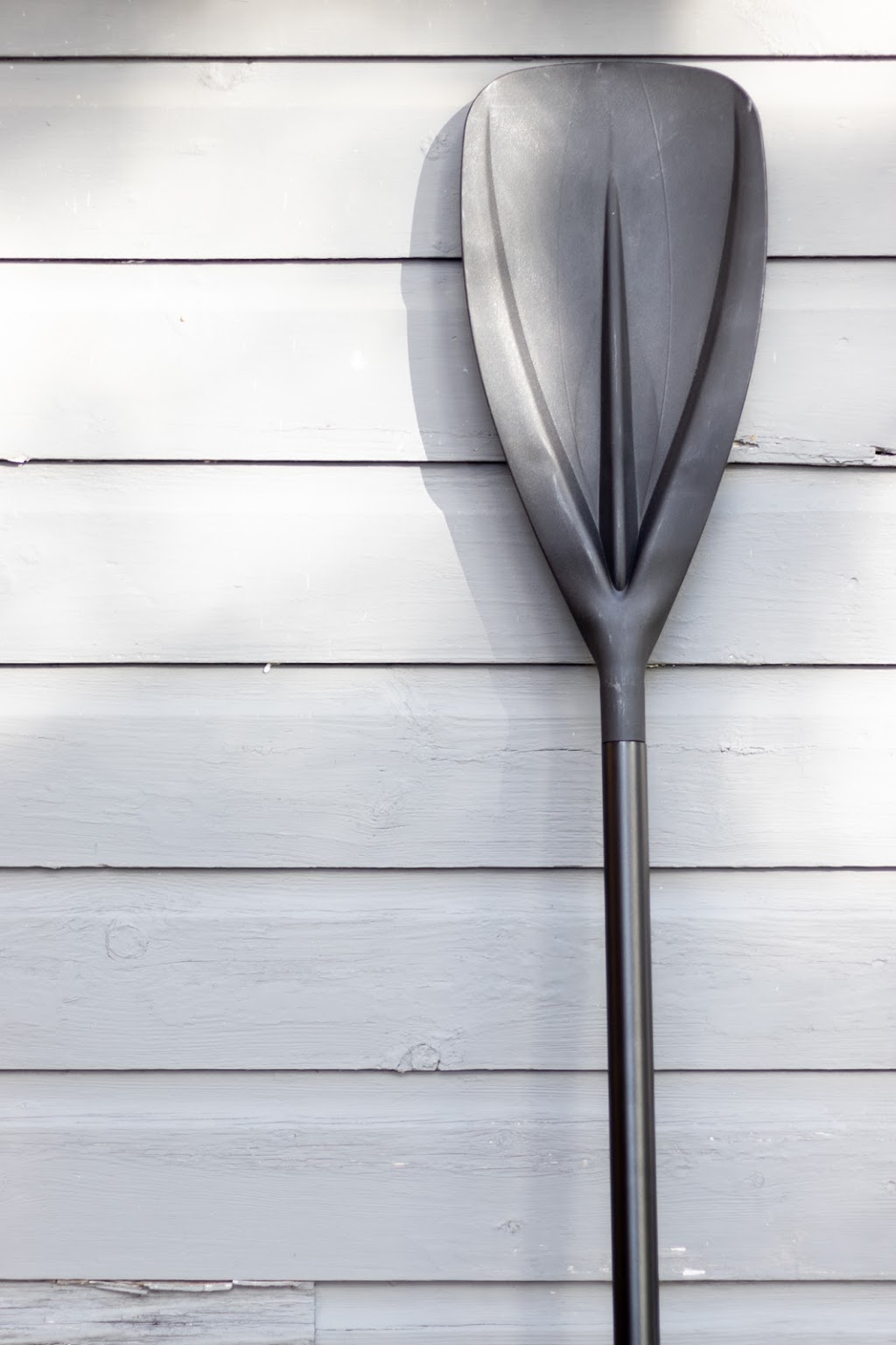 Clear Day Inc. | 72 Guthrie Ave, Etobicoke, ON M8Y 3L1, Canada | Phone: (416) 659-9725
