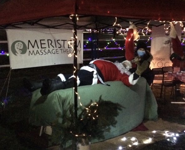 Meristem Massage Therapy | 3722 Carp Rd, Carp, ON K0A 1L0, Canada | Phone: (613) 200-7677