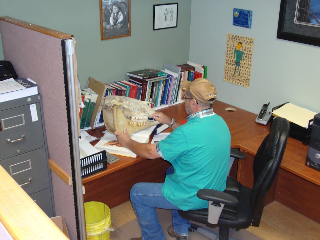 Accord Veterinary Services | 7410 Dallas Dr Unit 2, Kamloops, BC V2C 6X2, Canada | Phone: (250) 574-2065