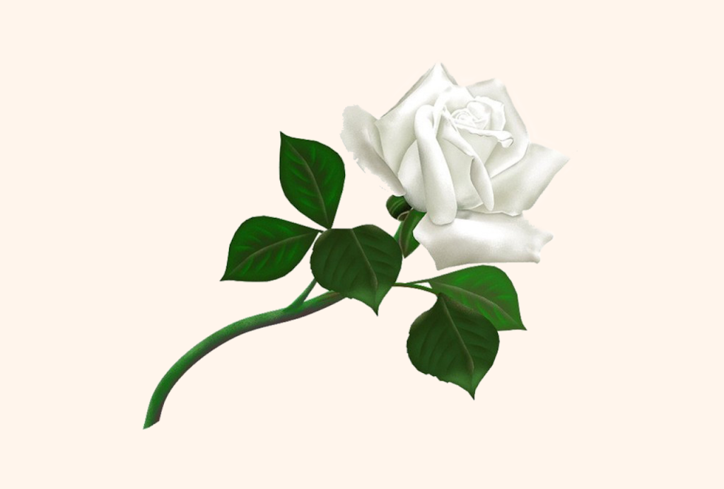 White Rose Tax & Accounting Services | 15243 91 Ave Unit 15, Surrey, BC V3R 9K2, Canada | Phone: (778) 240-9966