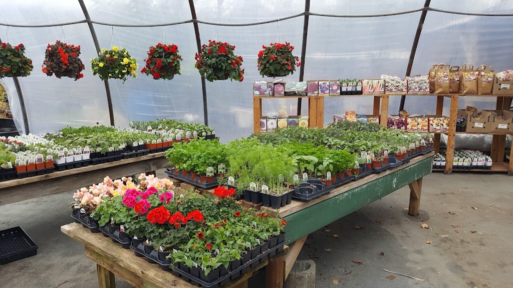 On Root Greenhouse | 673 Plaza Rd, Quathiaski Cove, BC V0P 1N0, Canada | Phone: (250) 204-2050