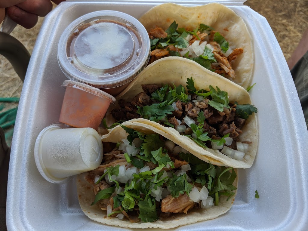 Sofia Mexican food | 9910 Crowsnest Hwy, Osoyoos, BC V0H 1V2, Canada | Phone: (250) 535-4108