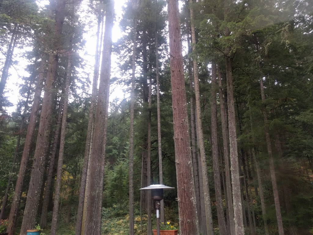 St Mary Lake Resort | 1170 N End Rd, Salt Spring Island, BC V8K 1M1, Canada | Phone: (250) 537-2832