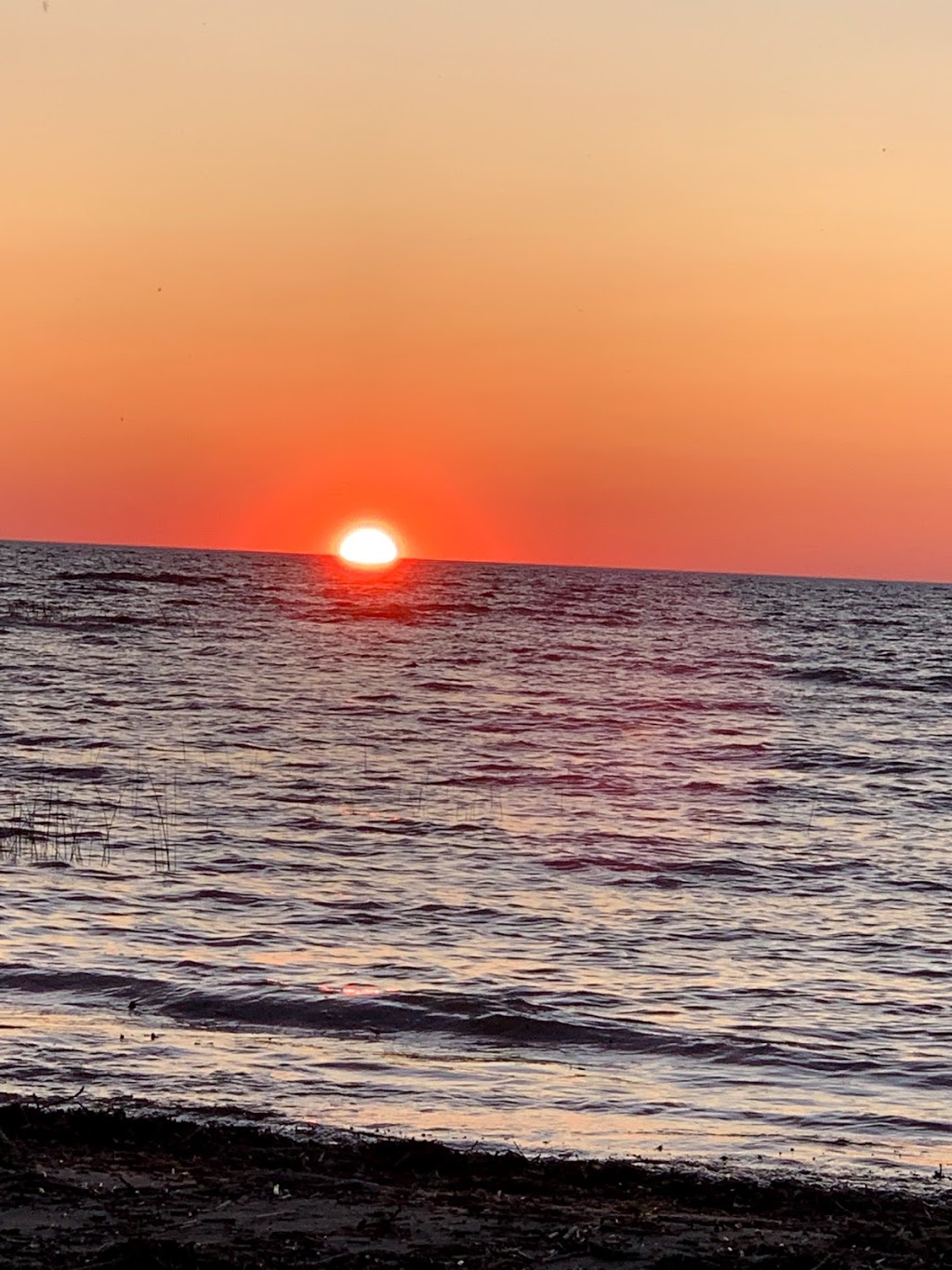 Brucedale Conservation Area | Port Elgin, ON N0H 2C7, Canada | Phone: (519) 389-4516