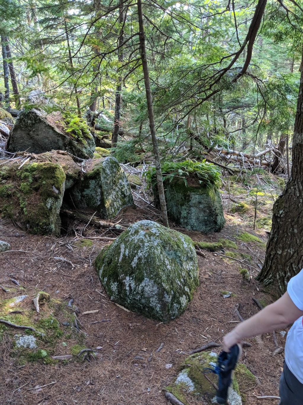 Gibraltar Rock Loop Trailhead | NS-357, Halifax, NS B0J 1N0, Canada