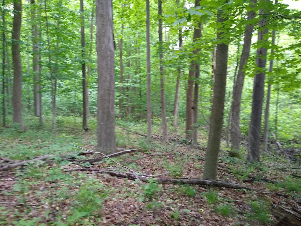 DNA Landscaping Inc | 7532 30 Sideroad Adjala, Alliston, ON L9R 1V1, Canada | Phone: (905) 724-0346