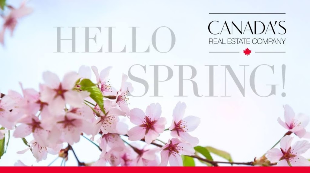 Brigitte Shaw - Royal LePage Action Realty, Brokerage | 766 Colborne St, Brantford, ON N3S 3S1, Canada | Phone: (519) 755-7250
