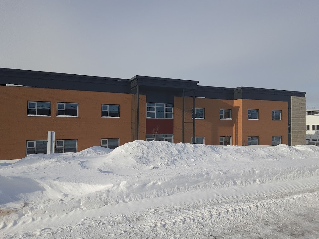 CHSLD De Chauffailles | 60 Rue de Chauffailles, Rivière-du-Loup, QC G5R 4E1, Canada | Phone: (418) 867-8370