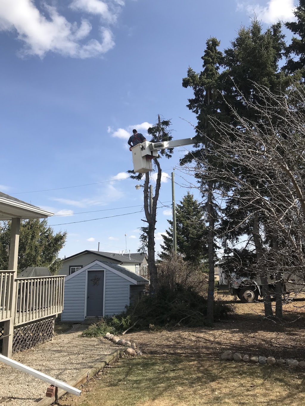 Fisher Hill Tree Company | 48075, Range Rd 194, Camrose, AB T4V 2N1, Canada | Phone: (780) 678-4909