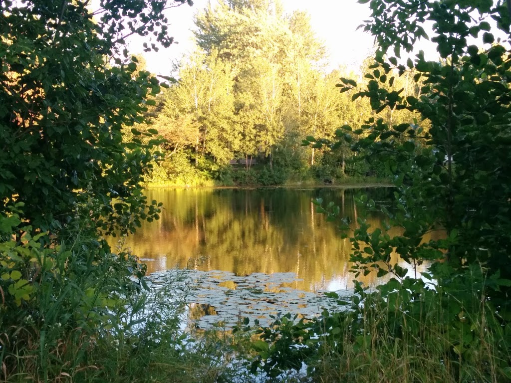 Parc du Village | 5 Rue Lakeview, Saint-Bruno-de-Montarville, QC J3V 3V1, Canada