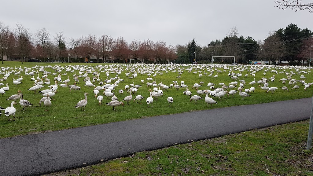 Dover Park | 5580 Lynas Ln, Richmond, BC V7C 5B2, Canada