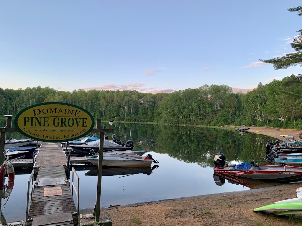 Pine Grove area | 40 Chem. Walker, Grand-Remous, QC J0W 1E0, Canada | Phone: (819) 438-2067