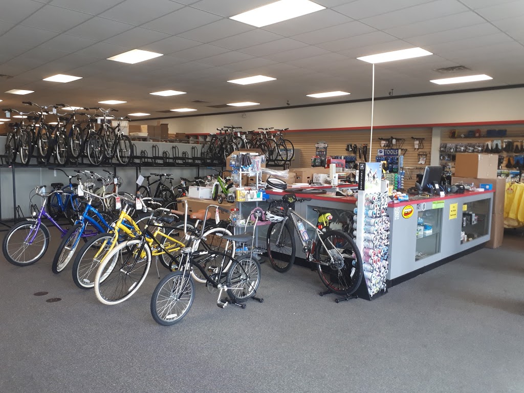 Niagara Cycle | 2749 Military Rd, Niagara Falls, NY 14304, USA | Phone: (716) 205-1125