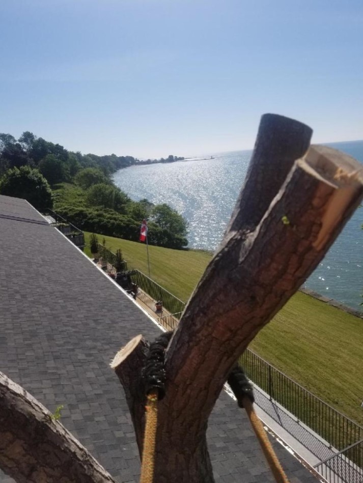 Black Creek Tree Service | 5 Donjon Blvd, Port Dover, ON N0A 1N7, Canada | Phone: (519) 754-7134