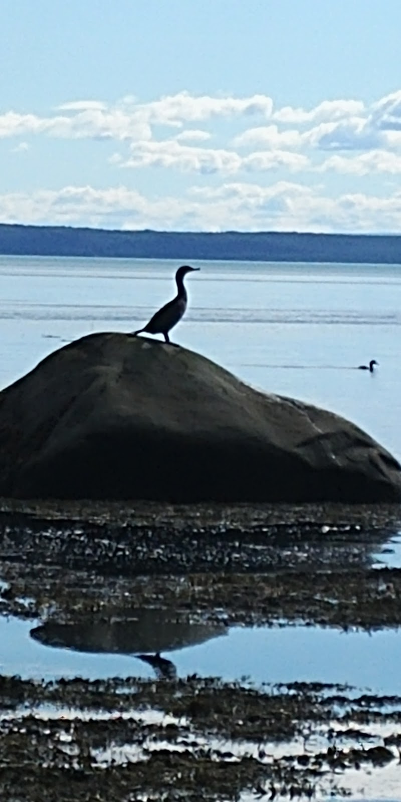 Camping Levesque | 40 Chem. de Port aux Quilles, Saint-Siméon, QC G0T 1X0, Canada | Phone: (418) 638-5220