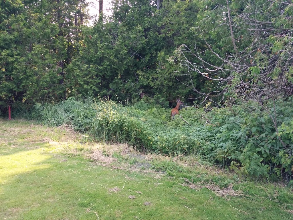 Coaticook Golf Club | 660 Rue Merrill, Coaticook, QC J1A 2S2, Canada | Phone: (819) 849-9876
