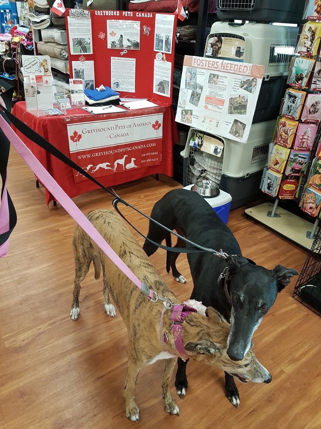 Pet Valu | 5844 Malden Rd, LaSalle, ON N9H 1S4, Canada | Phone: (519) 966-5644