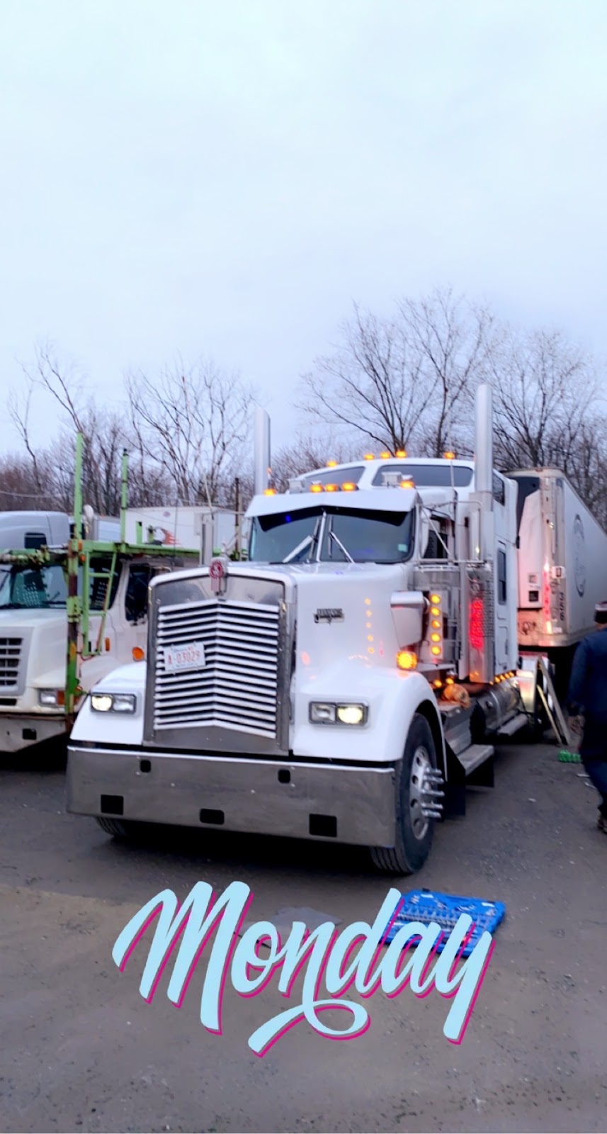 LB TRANSPORT LTD. | 8616 ON-7, Limehouse, ON L0P 1H0, Canada | Phone: (647) 821-9696